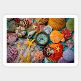 Compass And Seashells With Starfish Sticker